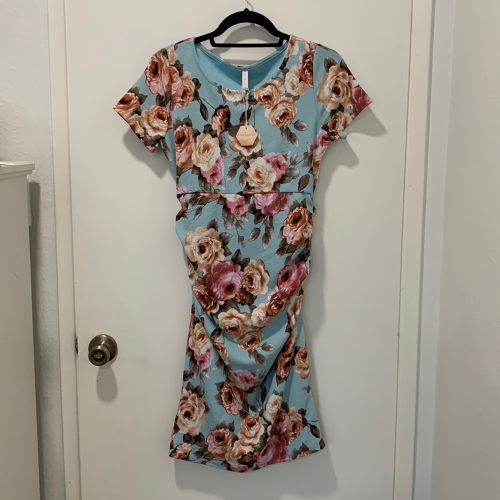 NWT Pink Blush maternity dress